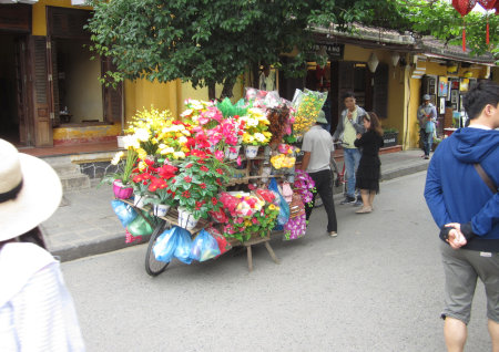 ホイアンの路上で花を販売する移動販売の店