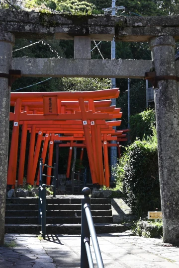 若宮稲荷神社参道の鳥居