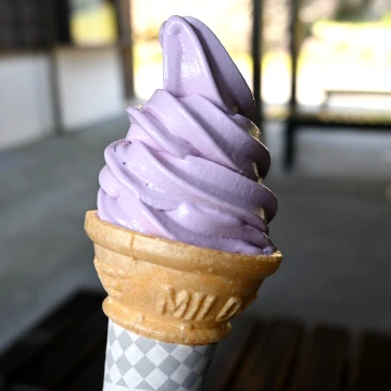 仙巌園の紫さつまいもソフトクリーム
