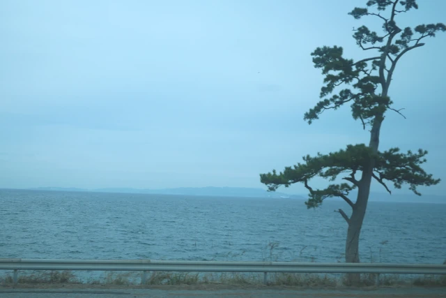 豊鉄バス伊良湖本の車窓。松の木と海が見える