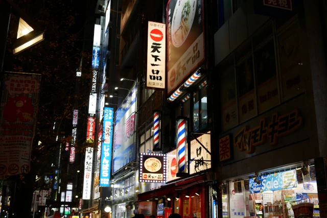 アキバの夜景（飲食店などの看板）