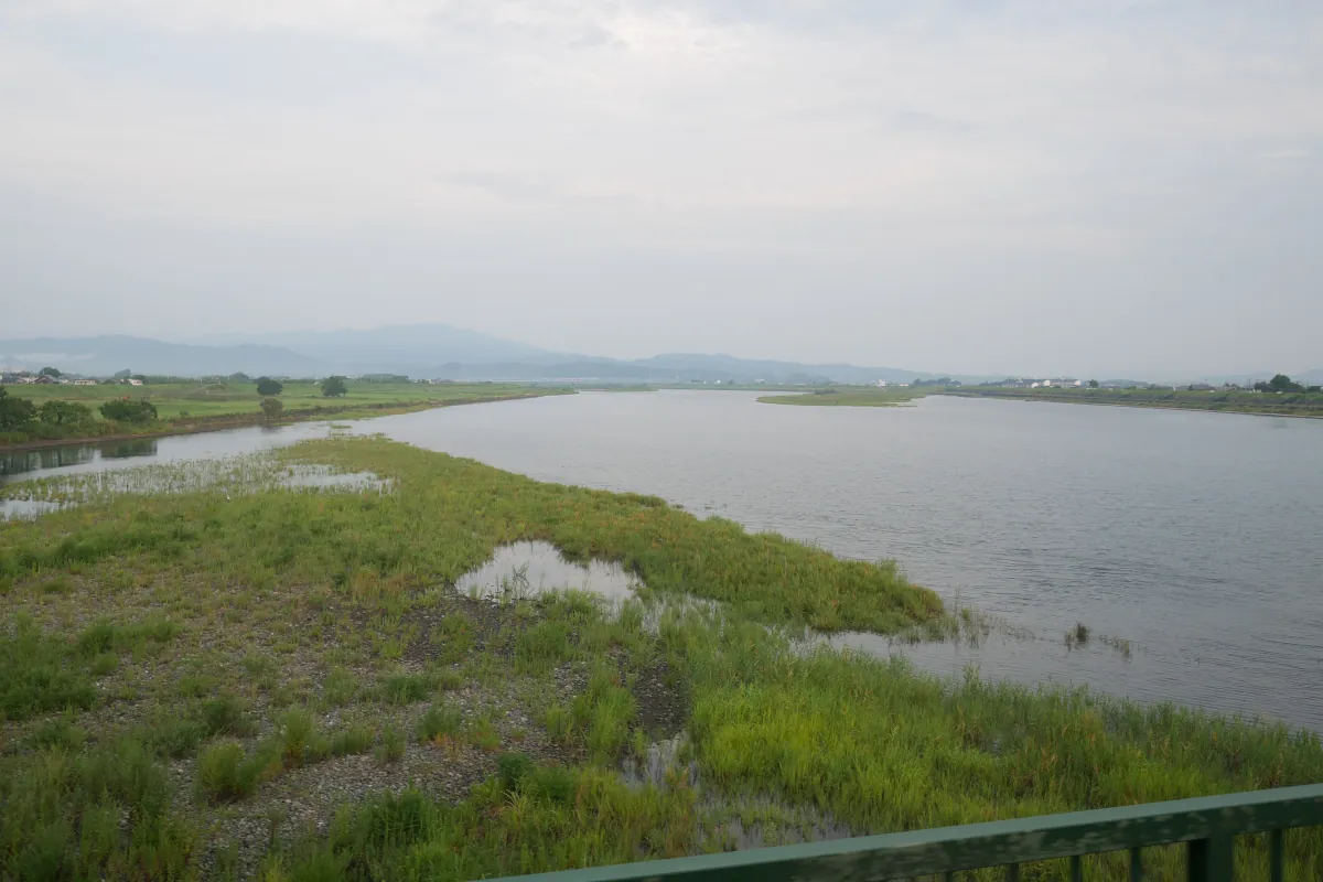 牟岐線で那賀川を渡る車窓。川幅が広い
