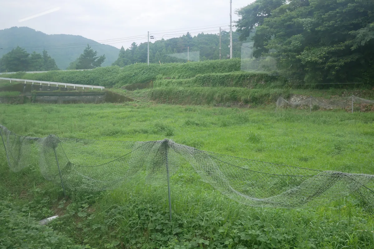 辺川駅付近の車窓
