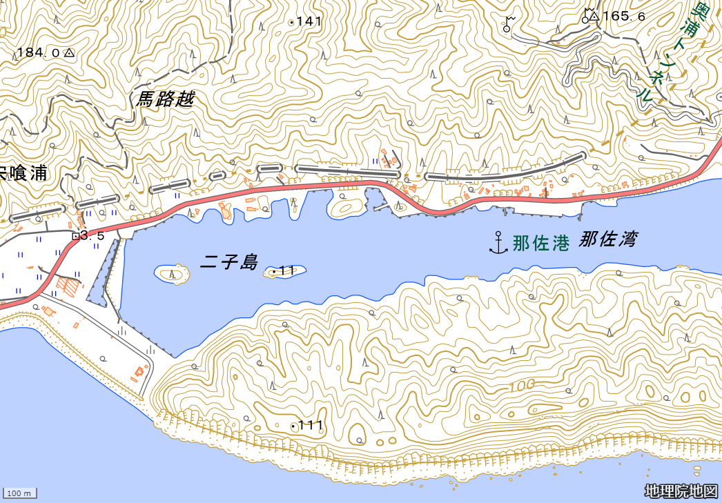 那佐湾付近の地理院地図