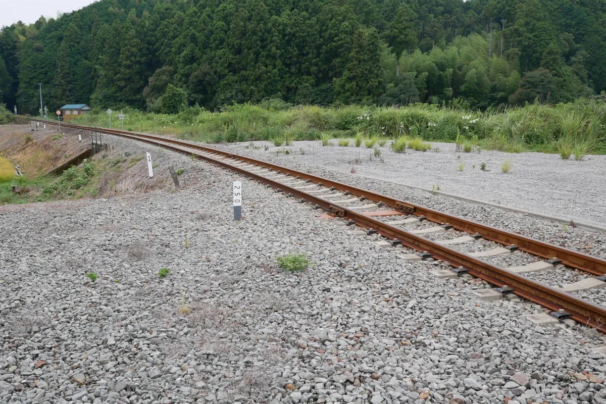 阿波海南信号場から甲浦方面へ伸びる阿佐東線の線路