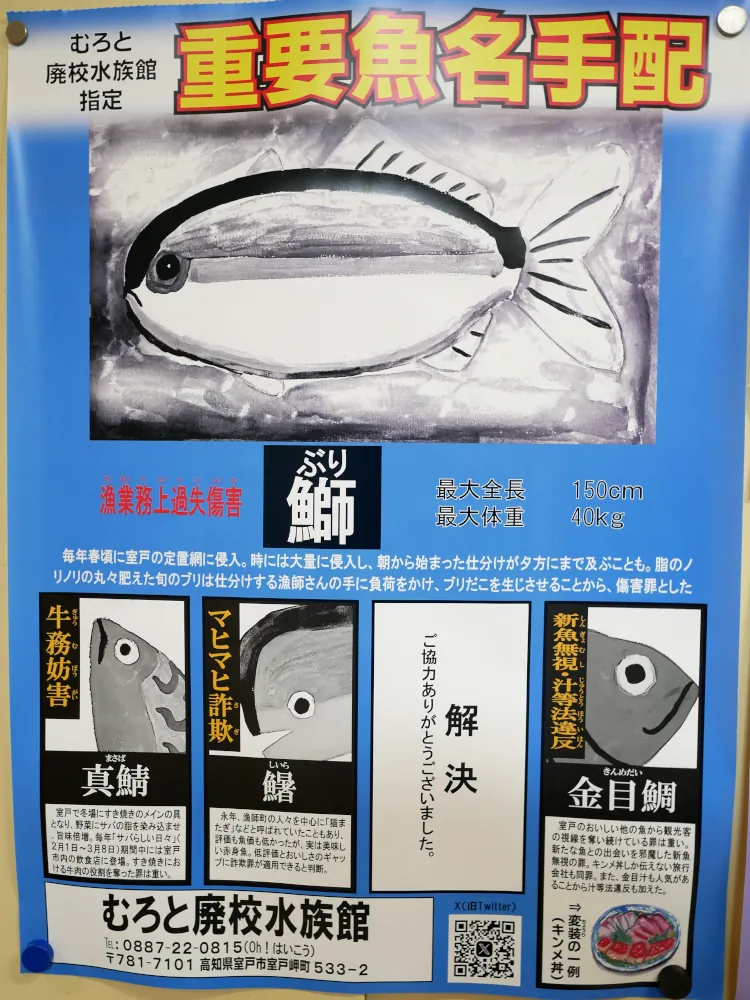 魚の指名手配ポスター