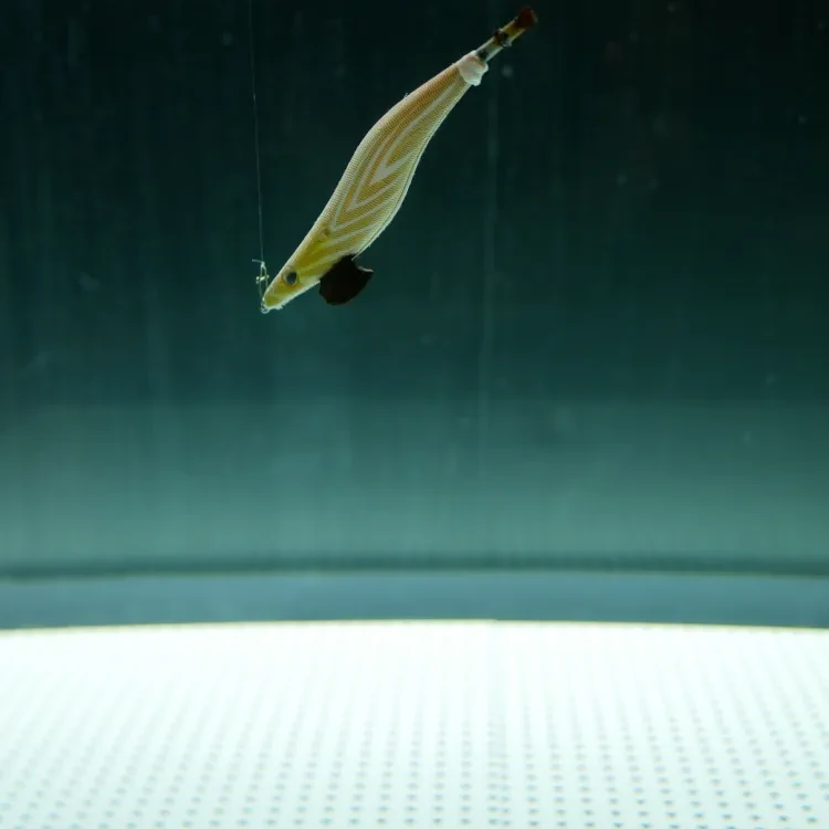 釣りの仕掛けの海洋ゴミ