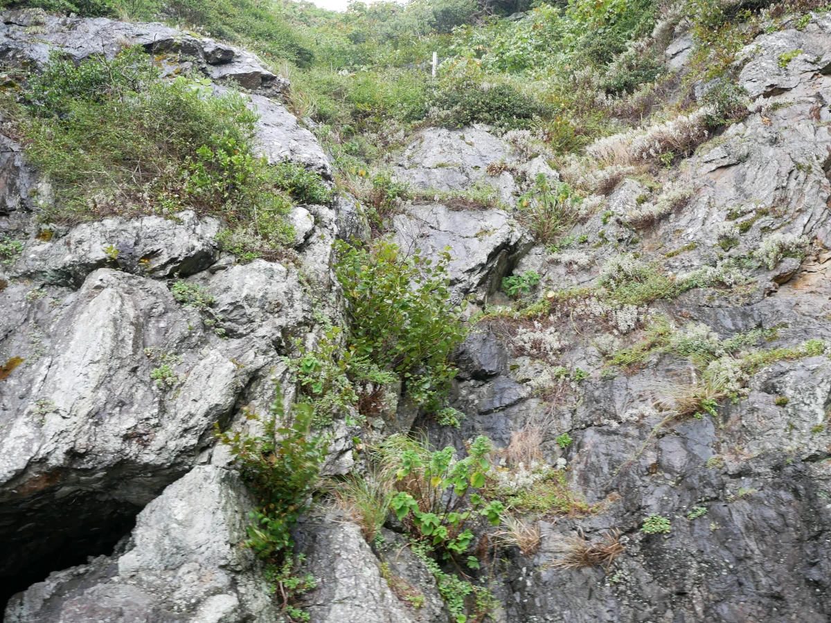 御厨人窟の外側の岸壁