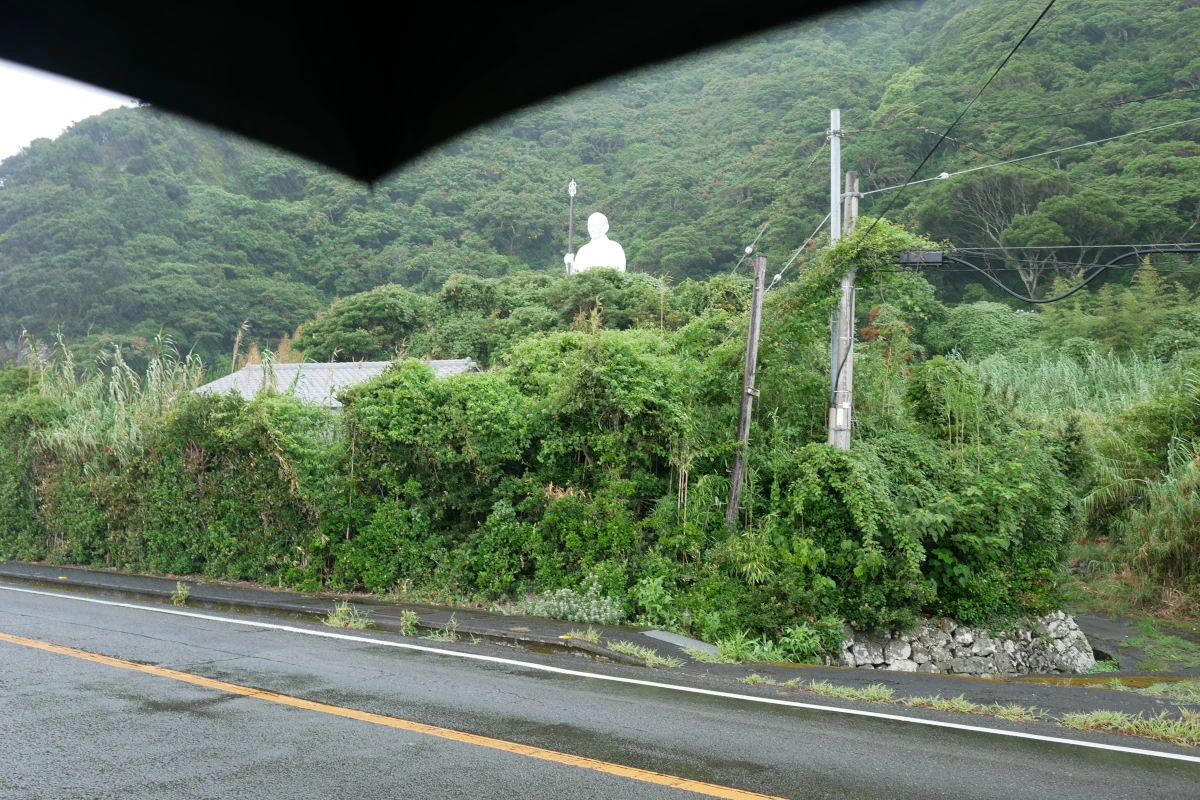 遠くに見える室戸青年大師像